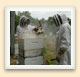 Les enfumoirs sont particulièrement utiles au moment de retirer les cadres de miel que les abeilles ont mis tant d'ardeur à remplir. 