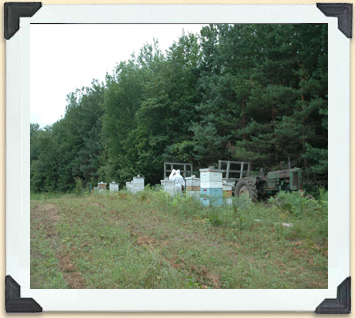 A significant part of Canada's beekeeping industry is made up of small farm-gate operations with less than a hundred hives. 