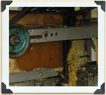 An automatic uncapping machine. 