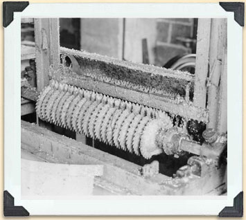 An automatic uncapping burr, driven by line belt, ca 1920. 