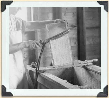 The blade of a steam uncapper was hot enough to melt wax cappings, ca 1920. 