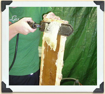 La cire qui recouvre les alvéoles doit être retirée pour permettre l’extraction du miel des cadres.  