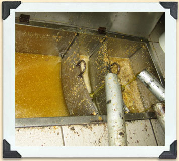 Freshly extracted honey before it’s been filtered to remove extraneous material. 