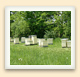Hive boxes are kept above the ground to protect the bees from the damp grass and small pests.  