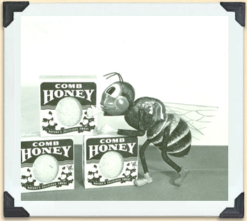 A display of Saskatchewan comb honey, ca 1950. 