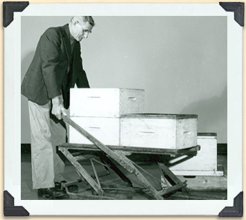 Because full honey supers can weigh more than 27 kg, beekeepers invented devices to help lift them, Saskatchewan, ca 1960. 