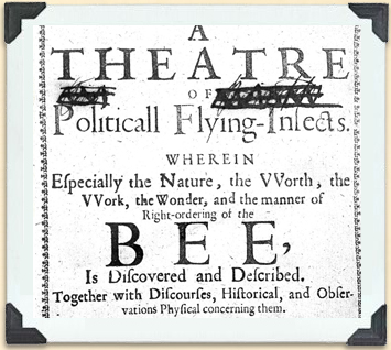 Plusieurs ouvrages portent sur la société des abeilles. 