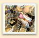 To identify her among thousands of bees in a hive, beekeepers often mark the queen with a tiny dot of colour. 