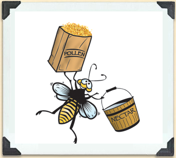 Dessin humoristique d'une abeille transportant un sac de pollen et un seau de nectar 