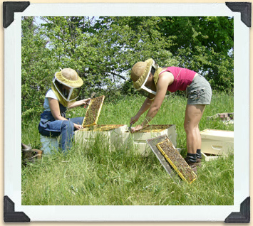 Selon la confiance de l'apiculteur, une combinaison d'apiculteur peut ou non s'avérer nécessaire pour l'inspection régulière des ruches. 
