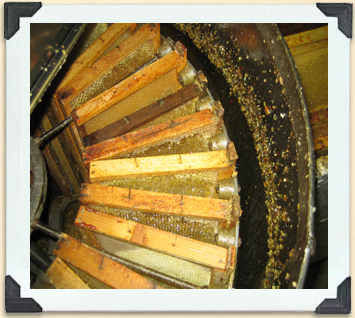 Le miel extrait est projeté sur les parois de l'extracteur, d'où il s'écoule vers le fond de la cuve afin d'être filtré.   