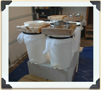 Honey is poured through metal mesh and cloth filters into four bulk storage pails. 