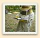Keeping accurate records of the health and performance of the bees is an essential part of the beekeeper's job. 