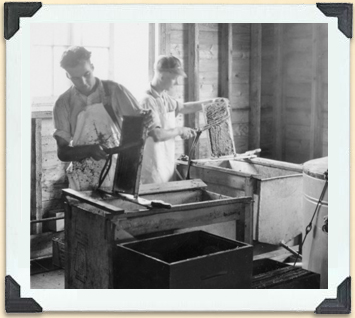 On désopercule les rayons de miel avant l’extraction, Clarksburg, Ontario, vers 1920. 