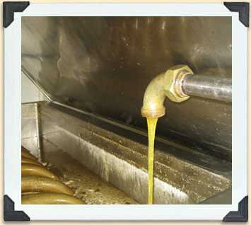 This warming tank increases the flow of honey, to ease bottling. 