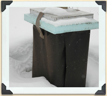 Tar-paper wrapping and snow provide insulation for hives during Canada's cold winters. 