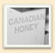 Emballage de miel de l'Ontario pour le marché d'exportation, vers 1930. 