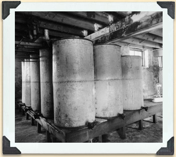 Cuves pour entreposer le miel dans un entrepôt de miel en Ontario, vers 1920. 