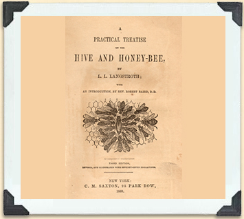 The frontispiece to Lorenzo Langstroth's ground-breaking research work on bees and bee space. 