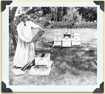 Like many of her Victorian sisters, this woman took up the genteel hobby of beekeeping. 