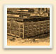 Despite the exaggerated size of the factory, the manufacture of beekeeping equipment was big business in 1920s Ontario. 