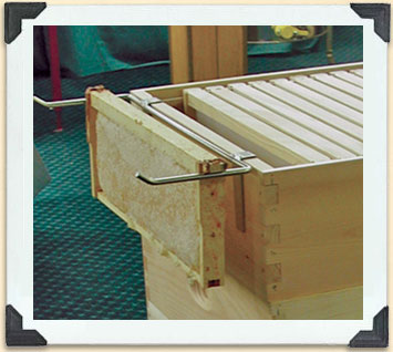 Lors de l'inspection des ruches, le support de cadre est un outil précieux. 
